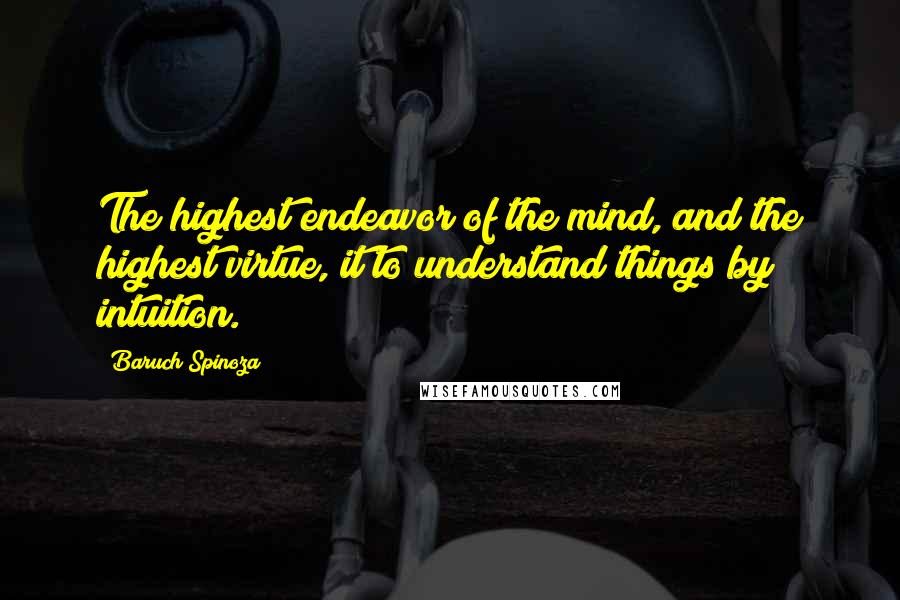 Baruch Spinoza Quotes: The highest endeavor of the mind, and the highest virtue, it to understand things by intuition.
