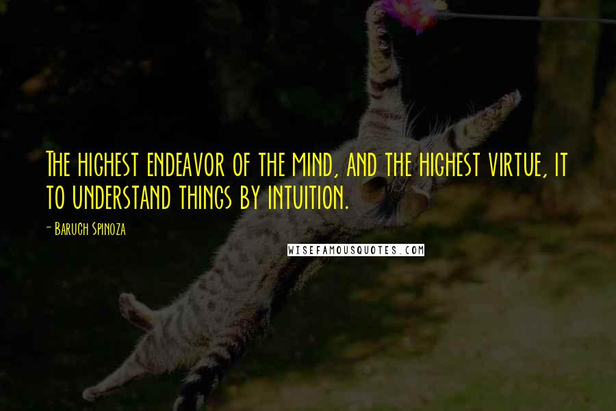 Baruch Spinoza Quotes: The highest endeavor of the mind, and the highest virtue, it to understand things by intuition.