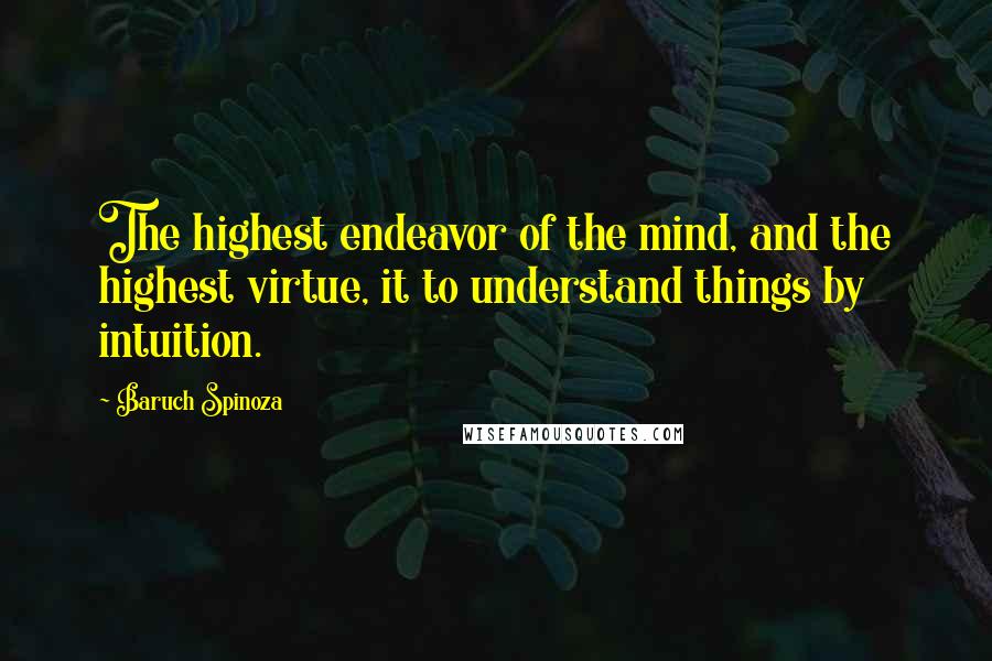 Baruch Spinoza Quotes: The highest endeavor of the mind, and the highest virtue, it to understand things by intuition.
