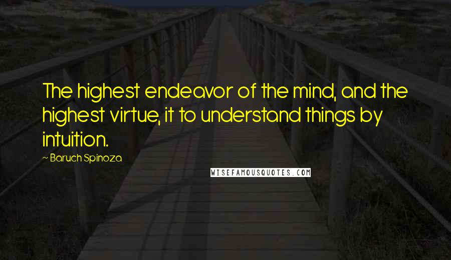 Baruch Spinoza Quotes: The highest endeavor of the mind, and the highest virtue, it to understand things by intuition.