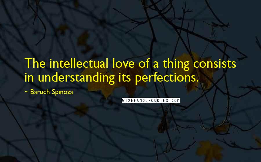 Baruch Spinoza Quotes: The intellectual love of a thing consists in understanding its perfections.