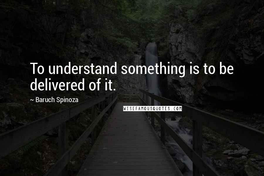 Baruch Spinoza Quotes: To understand something is to be delivered of it.