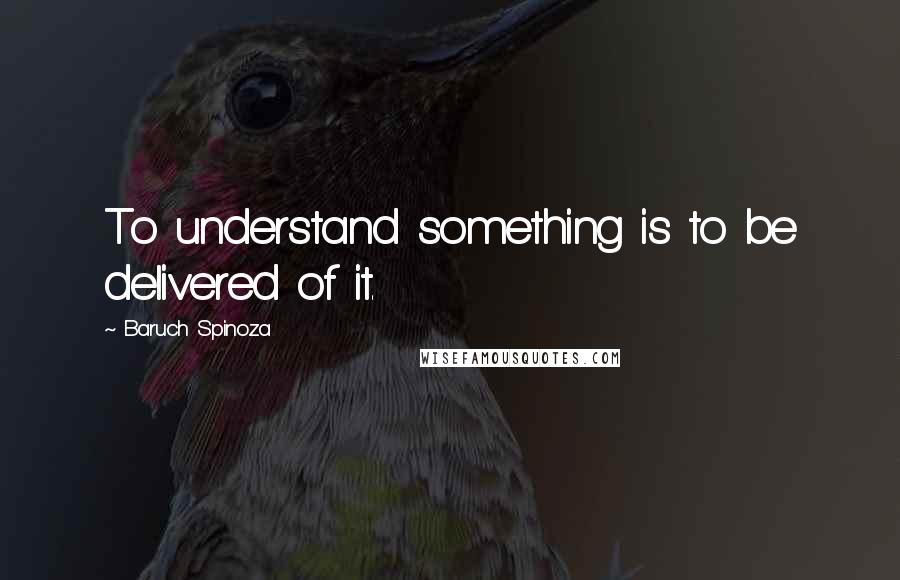 Baruch Spinoza Quotes: To understand something is to be delivered of it.