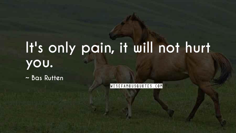 Bas Rutten Quotes: It's only pain, it will not hurt you.