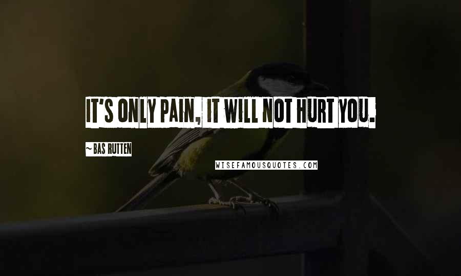 Bas Rutten Quotes: It's only pain, it will not hurt you.