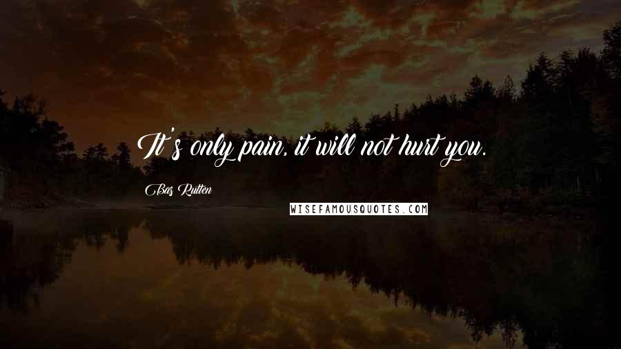 Bas Rutten Quotes: It's only pain, it will not hurt you.