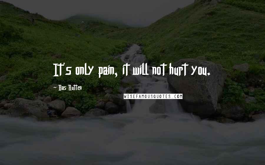 Bas Rutten Quotes: It's only pain, it will not hurt you.