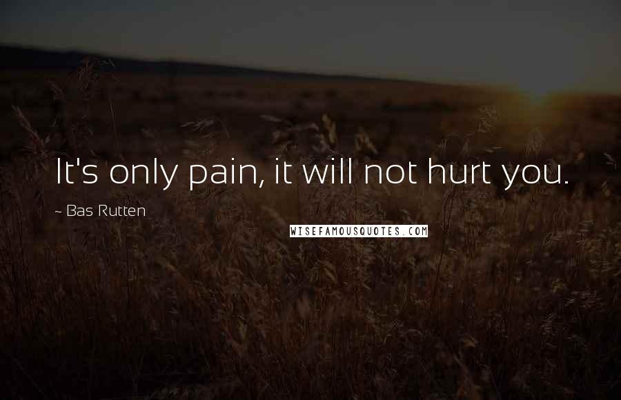 Bas Rutten Quotes: It's only pain, it will not hurt you.