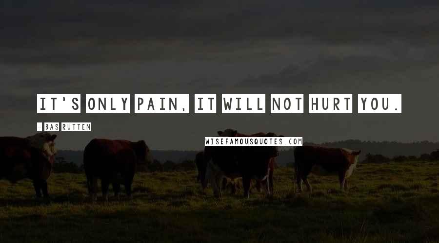 Bas Rutten Quotes: It's only pain, it will not hurt you.