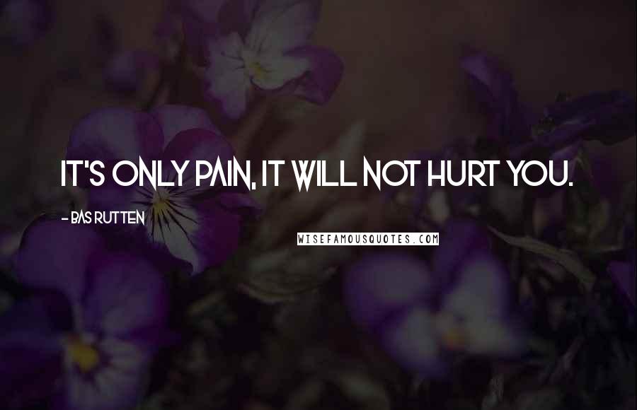 Bas Rutten Quotes: It's only pain, it will not hurt you.