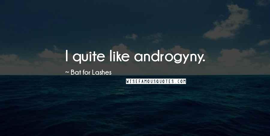 Bat For Lashes Quotes: I quite like androgyny.