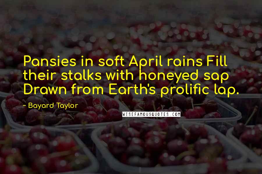 Bayard Taylor Quotes: Pansies in soft April rains Fill their stalks with honeyed sap Drawn from Earth's prolific lap.
