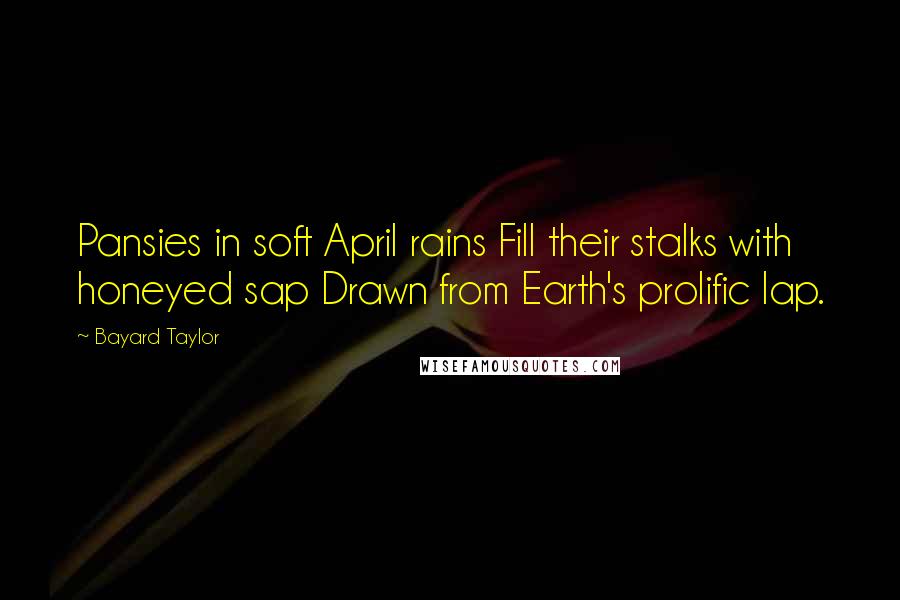 Bayard Taylor Quotes: Pansies in soft April rains Fill their stalks with honeyed sap Drawn from Earth's prolific lap.