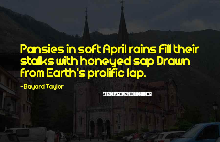 Bayard Taylor Quotes: Pansies in soft April rains Fill their stalks with honeyed sap Drawn from Earth's prolific lap.