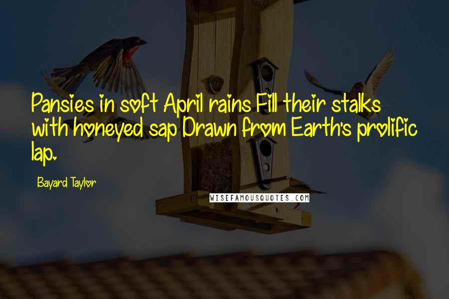 Bayard Taylor Quotes: Pansies in soft April rains Fill their stalks with honeyed sap Drawn from Earth's prolific lap.