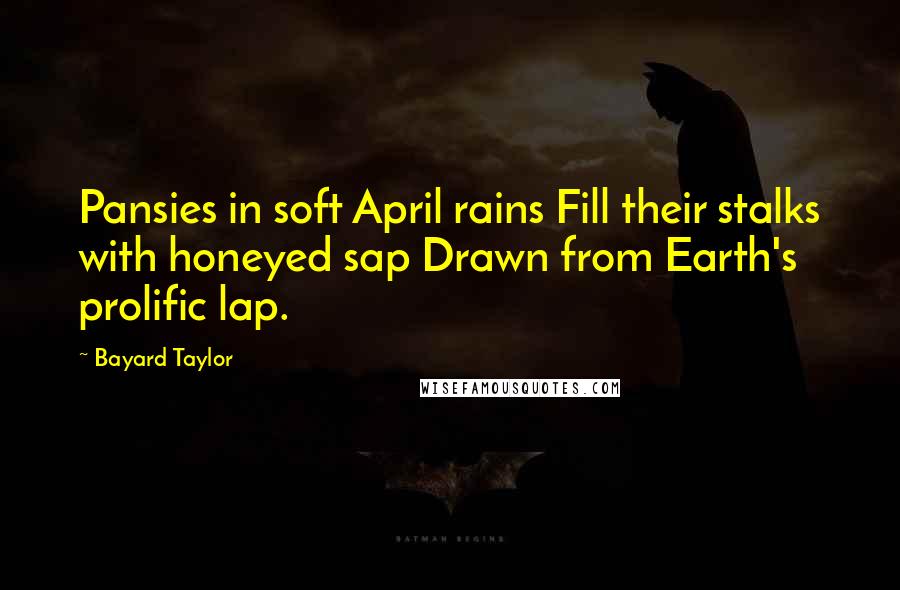 Bayard Taylor Quotes: Pansies in soft April rains Fill their stalks with honeyed sap Drawn from Earth's prolific lap.