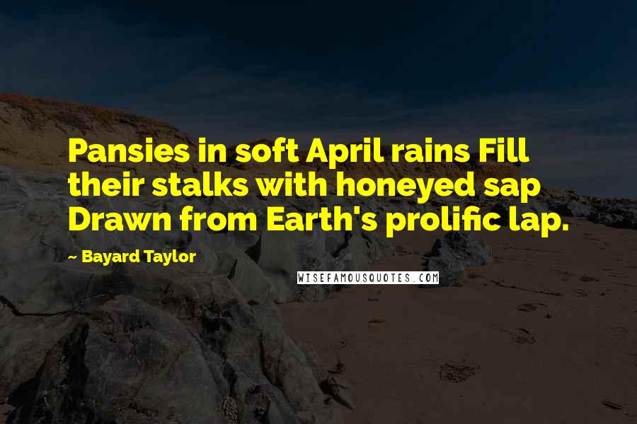 Bayard Taylor Quotes: Pansies in soft April rains Fill their stalks with honeyed sap Drawn from Earth's prolific lap.