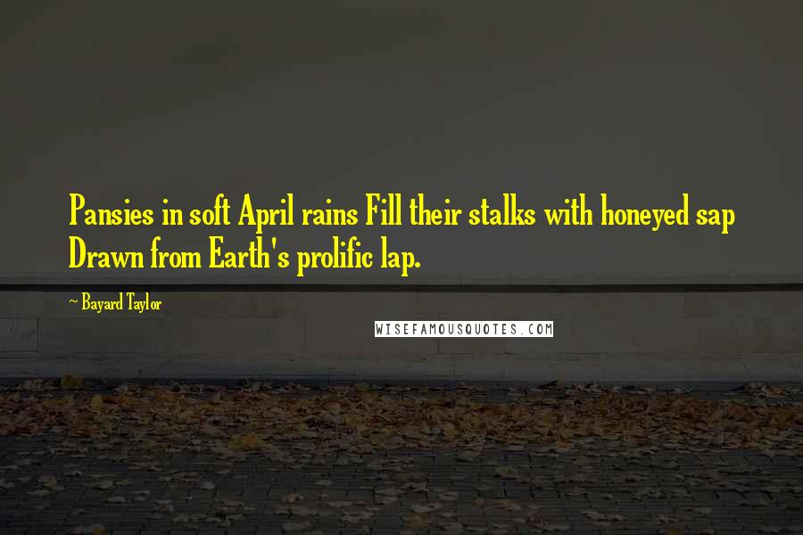 Bayard Taylor Quotes: Pansies in soft April rains Fill their stalks with honeyed sap Drawn from Earth's prolific lap.