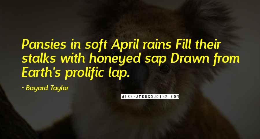 Bayard Taylor Quotes: Pansies in soft April rains Fill their stalks with honeyed sap Drawn from Earth's prolific lap.