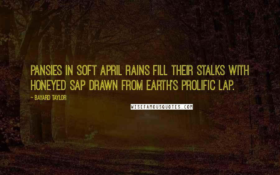 Bayard Taylor Quotes: Pansies in soft April rains Fill their stalks with honeyed sap Drawn from Earth's prolific lap.