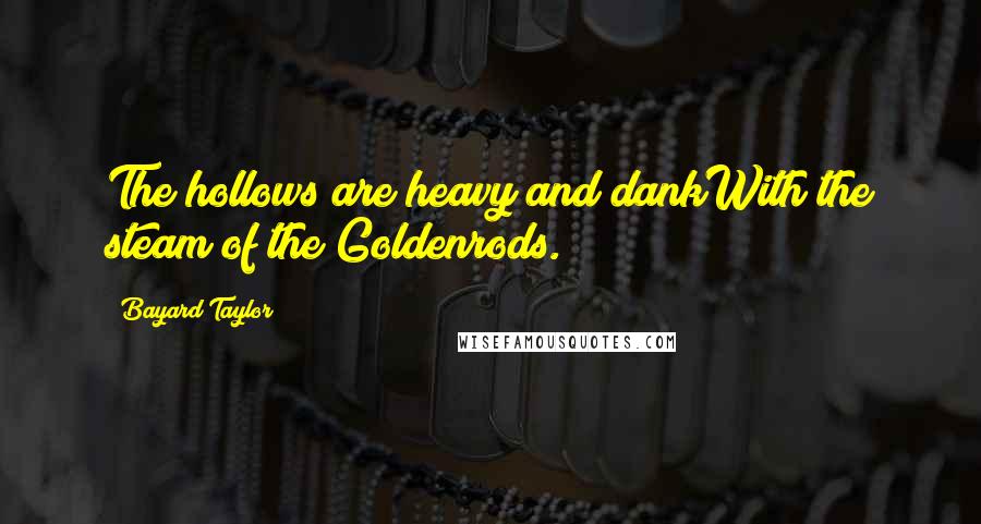 Bayard Taylor Quotes: The hollows are heavy and dankWith the steam of the Goldenrods.