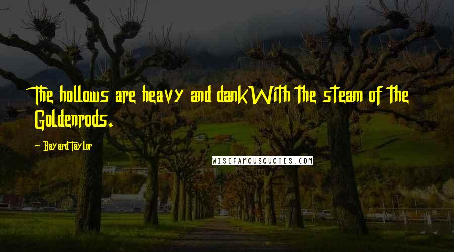 Bayard Taylor Quotes: The hollows are heavy and dankWith the steam of the Goldenrods.