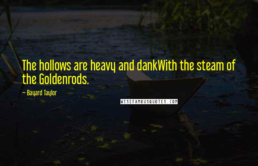 Bayard Taylor Quotes: The hollows are heavy and dankWith the steam of the Goldenrods.