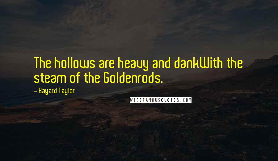 Bayard Taylor Quotes: The hollows are heavy and dankWith the steam of the Goldenrods.