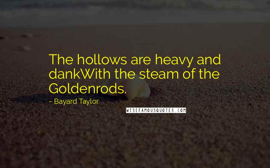 Bayard Taylor Quotes: The hollows are heavy and dankWith the steam of the Goldenrods.