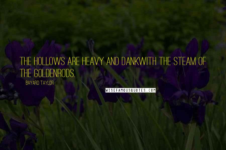 Bayard Taylor Quotes: The hollows are heavy and dankWith the steam of the Goldenrods.