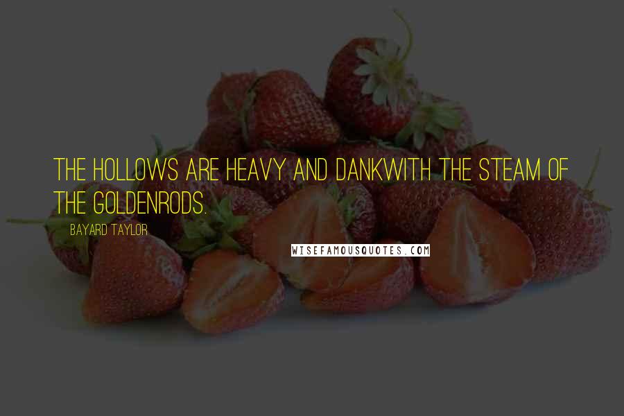 Bayard Taylor Quotes: The hollows are heavy and dankWith the steam of the Goldenrods.