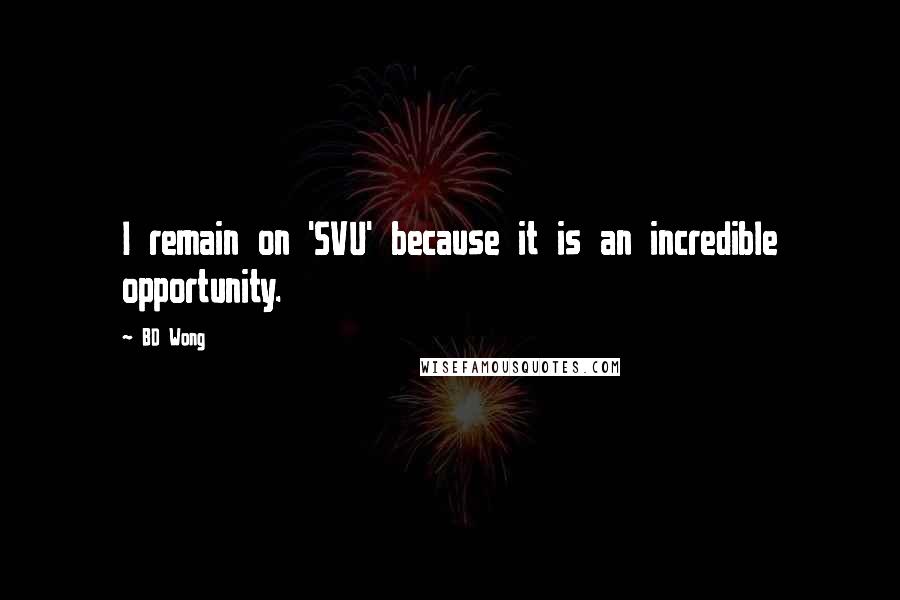 BD Wong Quotes: I remain on 'SVU' because it is an incredible opportunity.