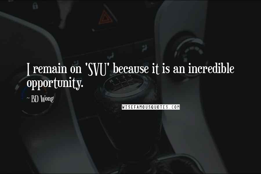 BD Wong Quotes: I remain on 'SVU' because it is an incredible opportunity.