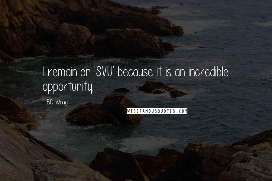 BD Wong Quotes: I remain on 'SVU' because it is an incredible opportunity.