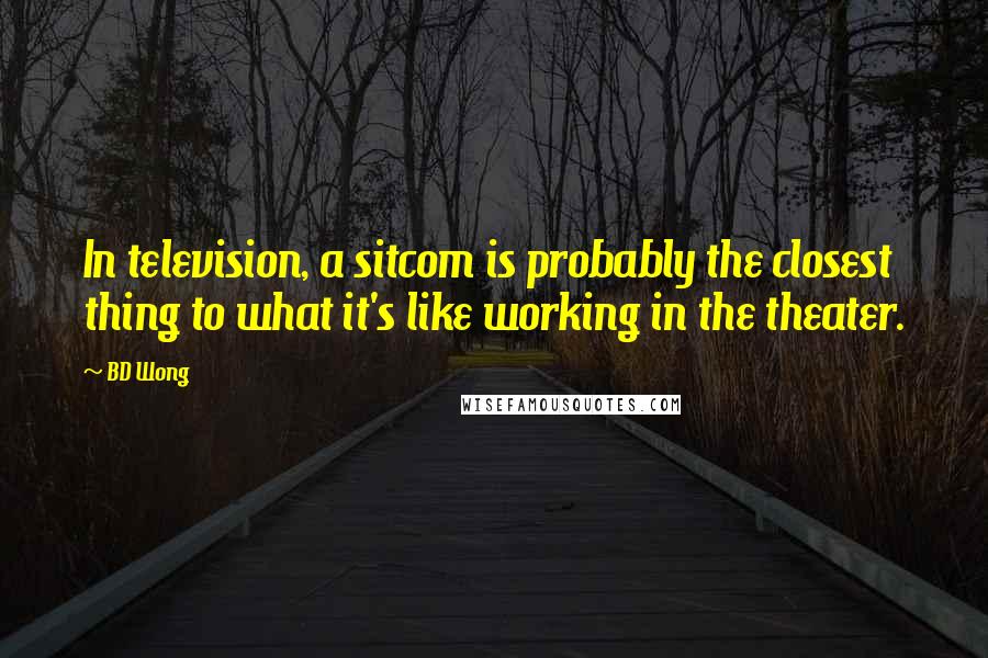 BD Wong Quotes: In television, a sitcom is probably the closest thing to what it's like working in the theater.