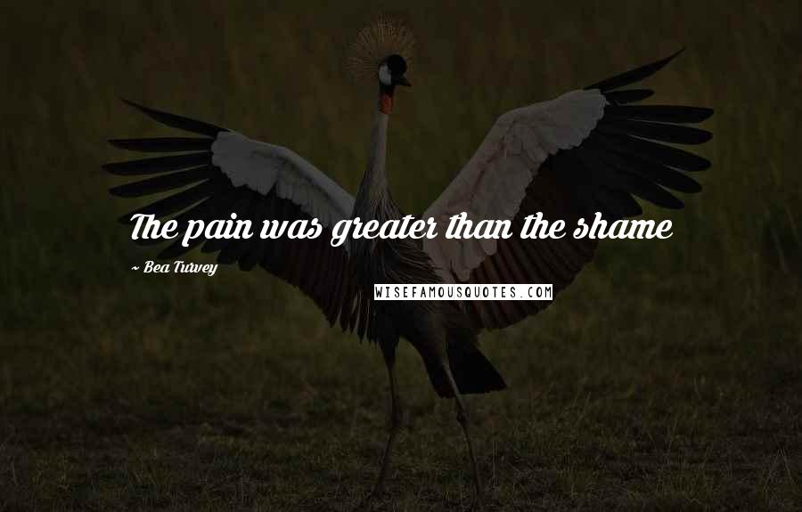 Bea Turvey Quotes: The pain was greater than the shame