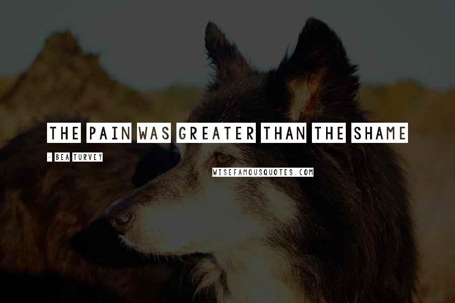 Bea Turvey Quotes: The pain was greater than the shame