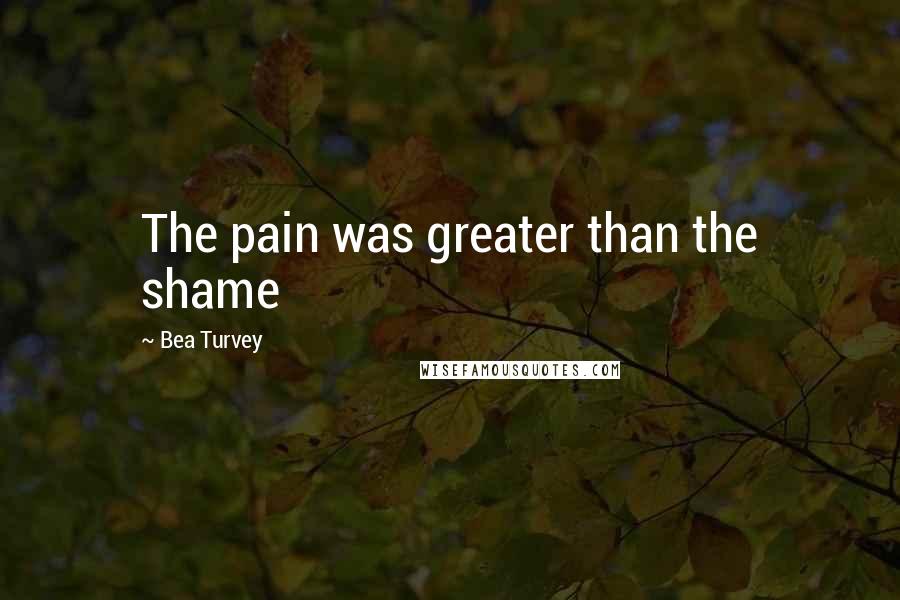 Bea Turvey Quotes: The pain was greater than the shame