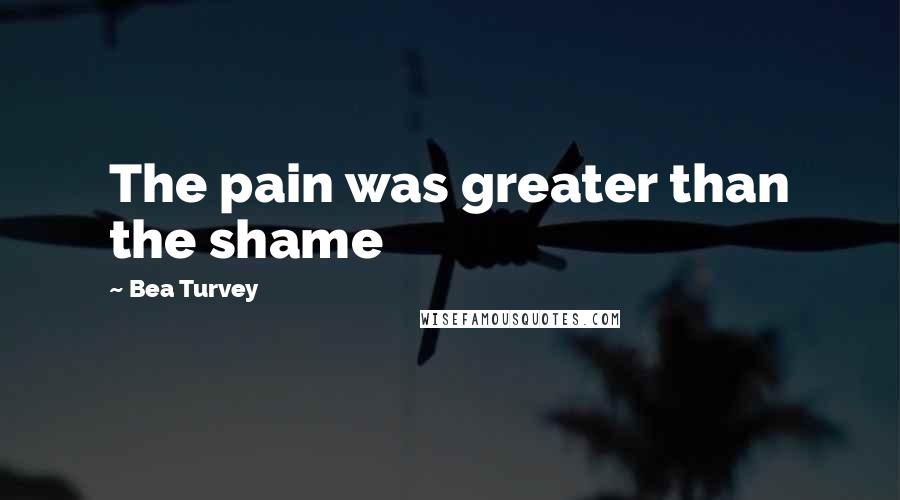 Bea Turvey Quotes: The pain was greater than the shame