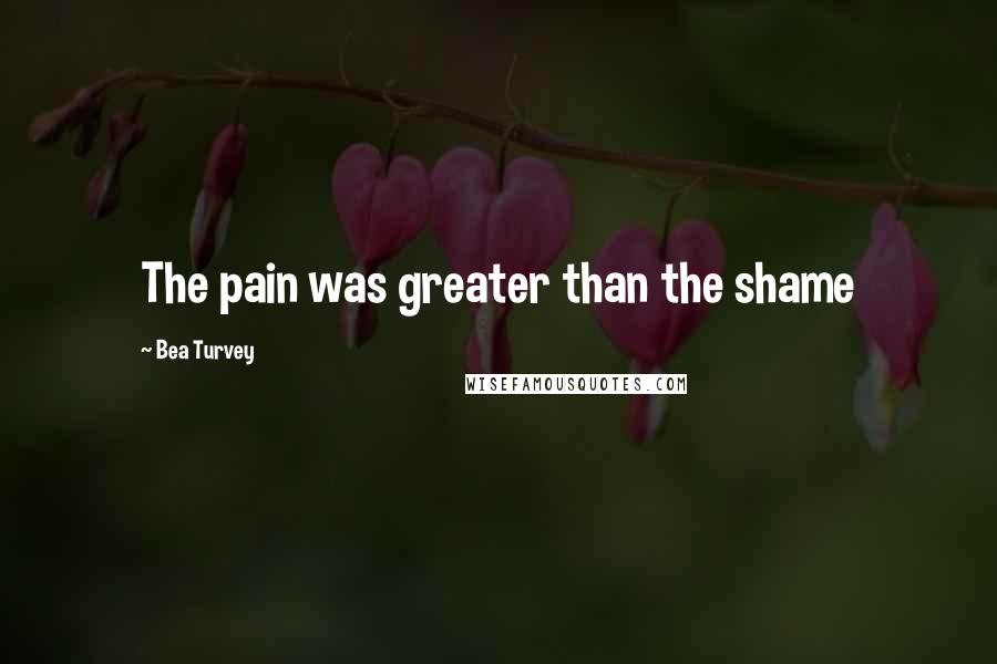 Bea Turvey Quotes: The pain was greater than the shame