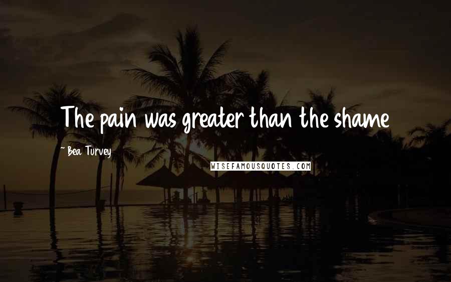 Bea Turvey Quotes: The pain was greater than the shame