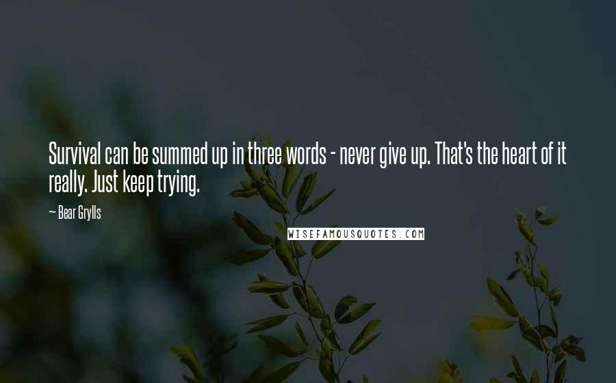 Bear Grylls Quotes: Survival can be summed up in three words - never give up. That's the heart of it really. Just keep trying.