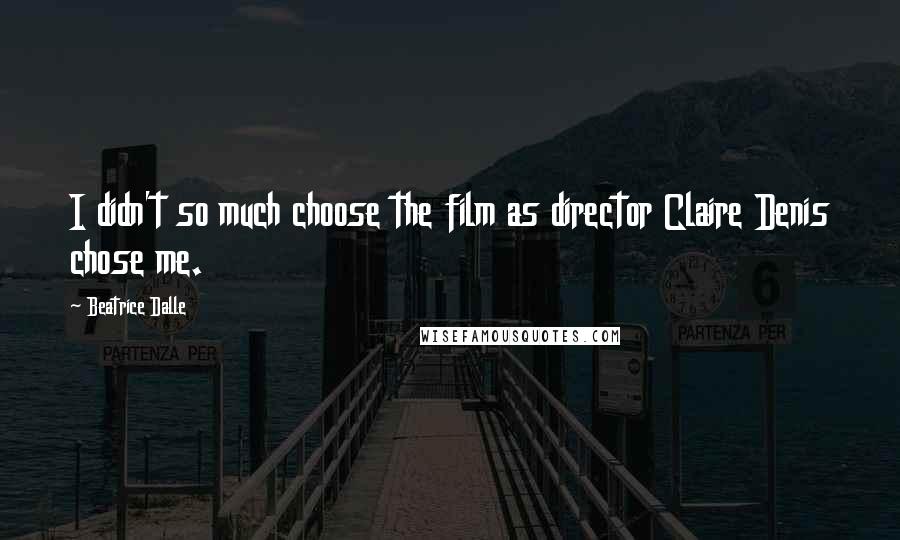 Beatrice Dalle Quotes: I didn't so much choose the film as director Claire Denis chose me.