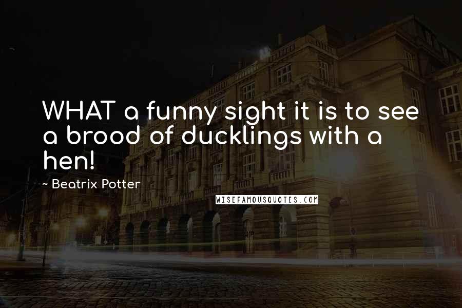 Beatrix Potter Quotes: WHAT a funny sight it is to see a brood of ducklings with a hen!