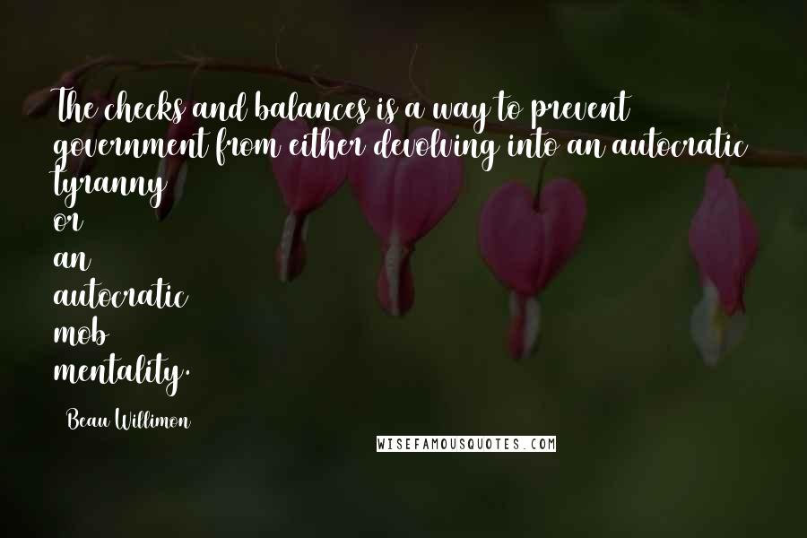 Beau Willimon Quotes: The checks and balances is a way to prevent government from either devolving into an autocratic tyranny or an autocratic mob mentality.