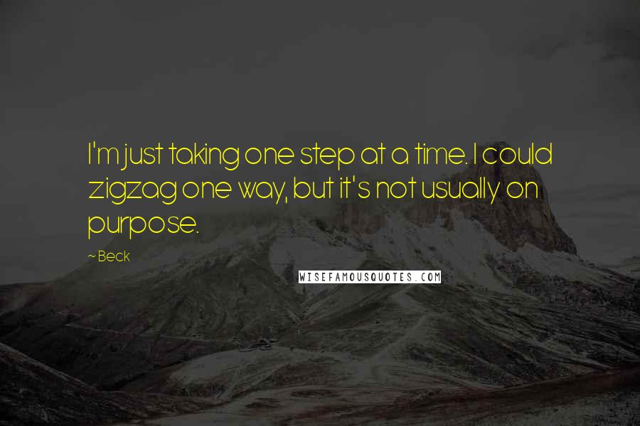 Beck Quotes: I'm just taking one step at a time. I could zigzag one way, but it's not usually on purpose.