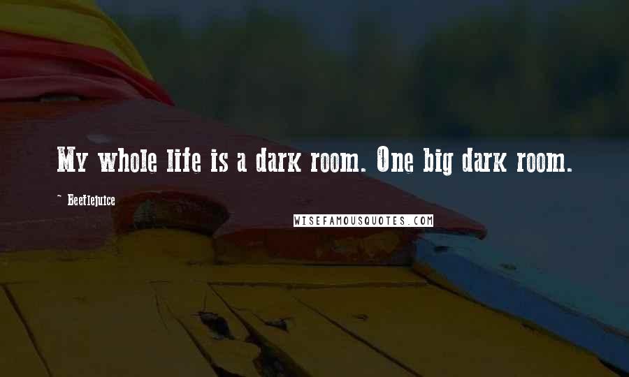 Beetlejuice Quotes: My whole life is a dark room. One big dark room.