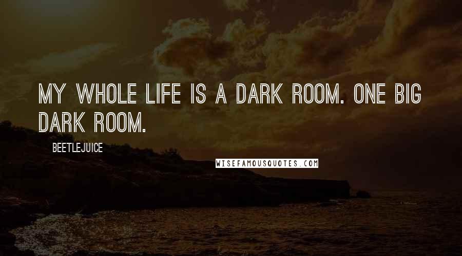 Beetlejuice Quotes: My whole life is a dark room. One big dark room.