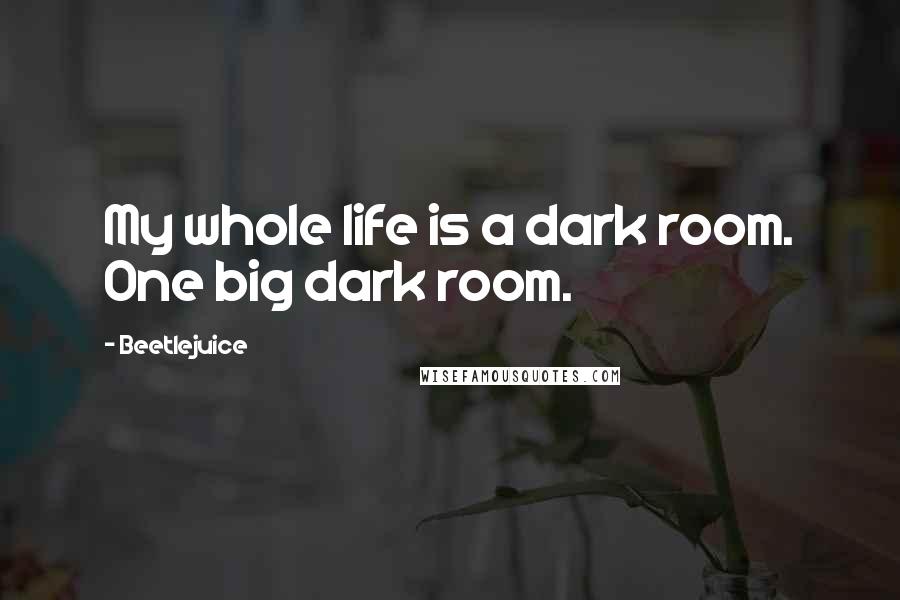 Beetlejuice Quotes: My whole life is a dark room. One big dark room.