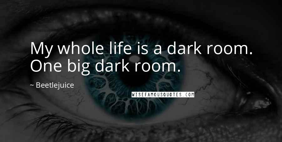 Beetlejuice Quotes: My whole life is a dark room. One big dark room.